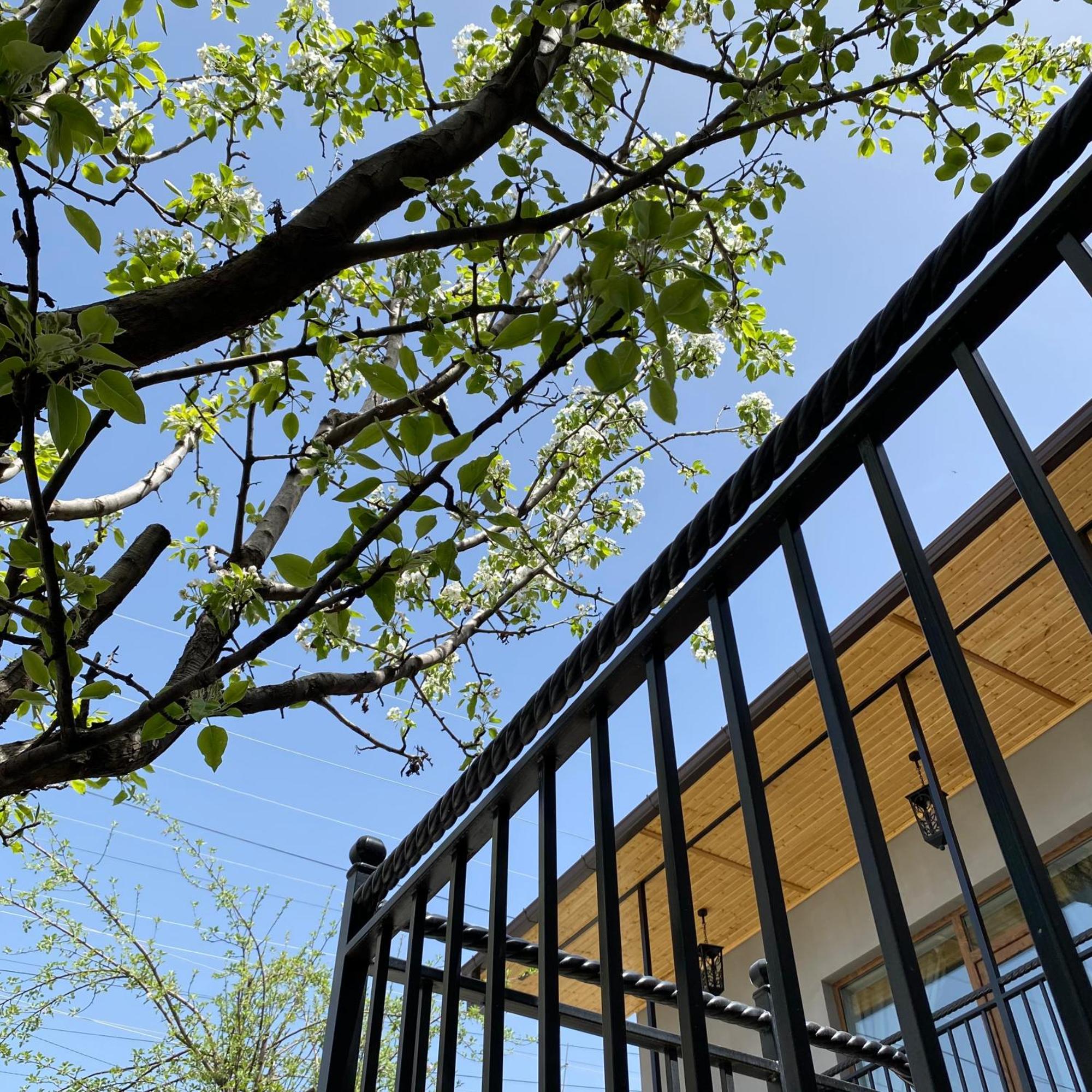 Nur Guest House Ghiumri Exterior foto